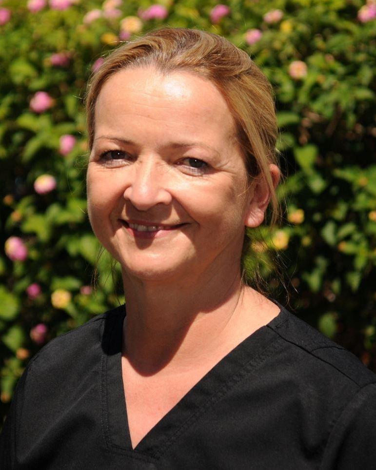 Dentist Melville WA Melville Family Dental Our Team